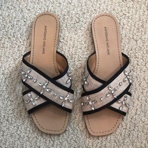 Antonio Melani Slides